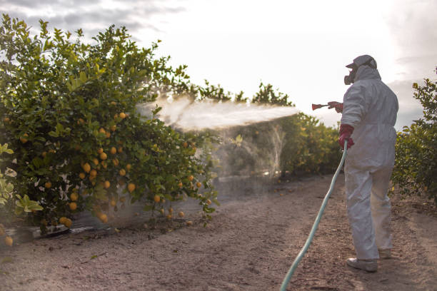 Best Pest Prevention Services  in Taylors Falls, MN